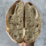 Sourdough Subscription | اشتراك خبز الساوردو