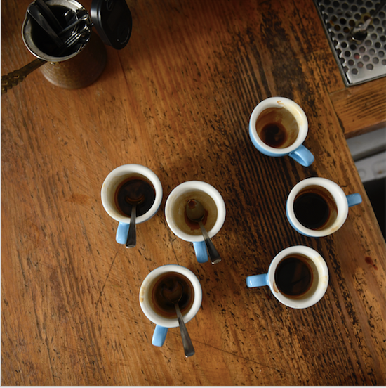 SCA Barista Intermediate Dec 20-21