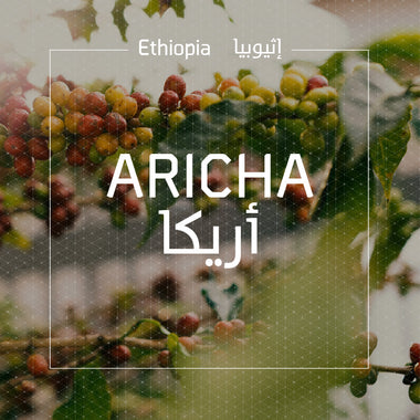 Ethiopia Aricha إثيوبيا أريكا