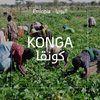 Ethiopia Konga (natural) أثيوبيا كونقا